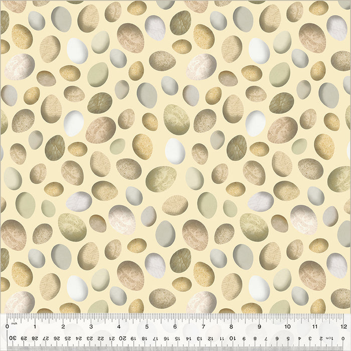 Boho Chick - Fresh Eggs Eggshell
