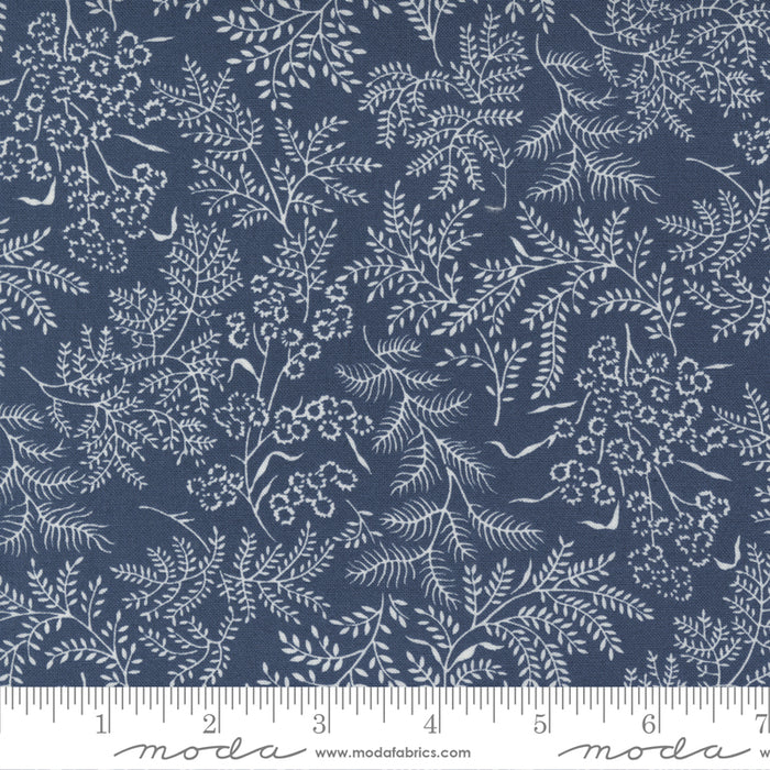 Nantucket Summer - Sconset Nature Navy