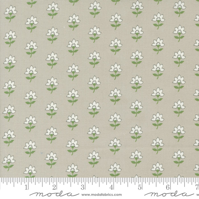 Shoreline - Coastal Florals Grey