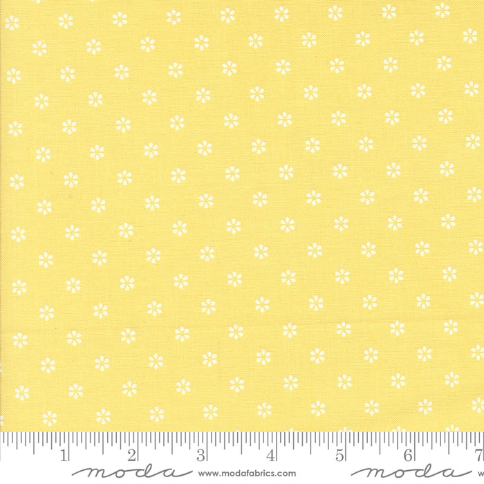 Summertime - Small Floral Sunshine