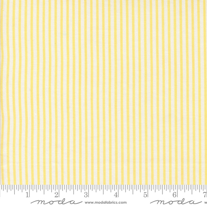 Summertime - Simple Stripe Sunshine