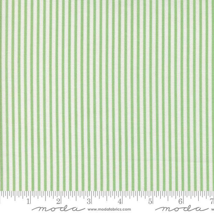 Summertime - Simple Stripe Green