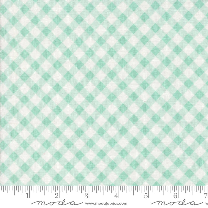Summertime - Picnic Checks Ice