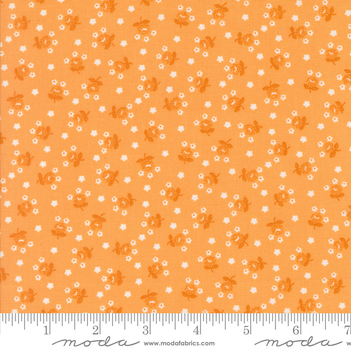 Summertime - Fairground Orange