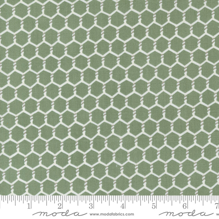 Willow's Farm - Chickenwire Sage