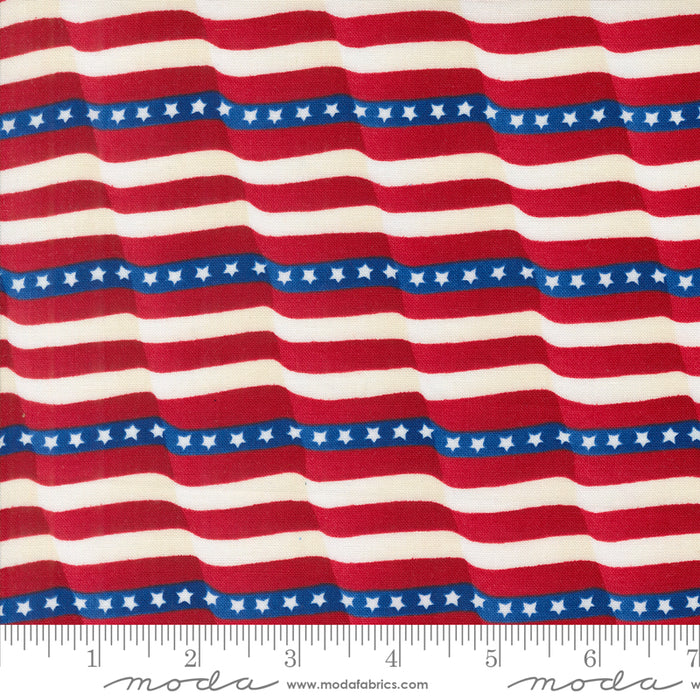 Red White & Bloom - Waving Flag Patriotic Poppy