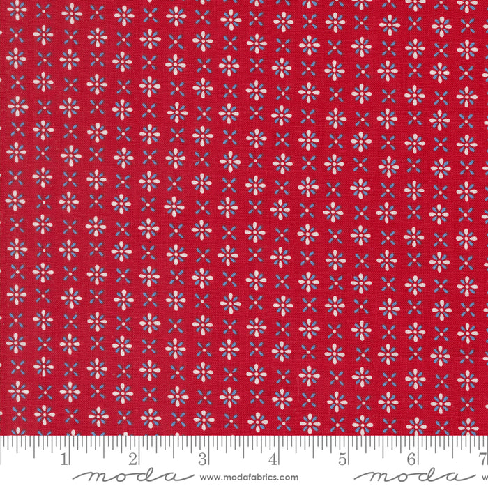 Red White & Bloom - Firework Patriotic Poppy