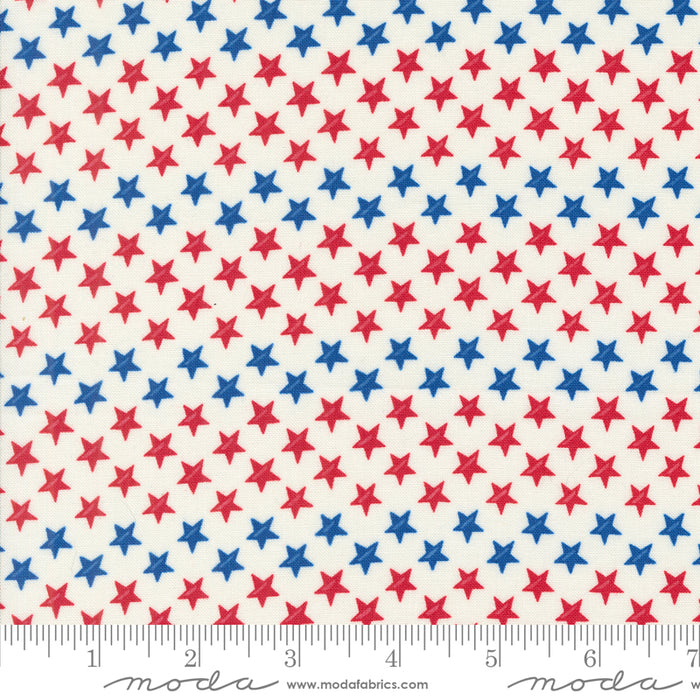 Red White & Bloom - Stars In A Row Daisy White