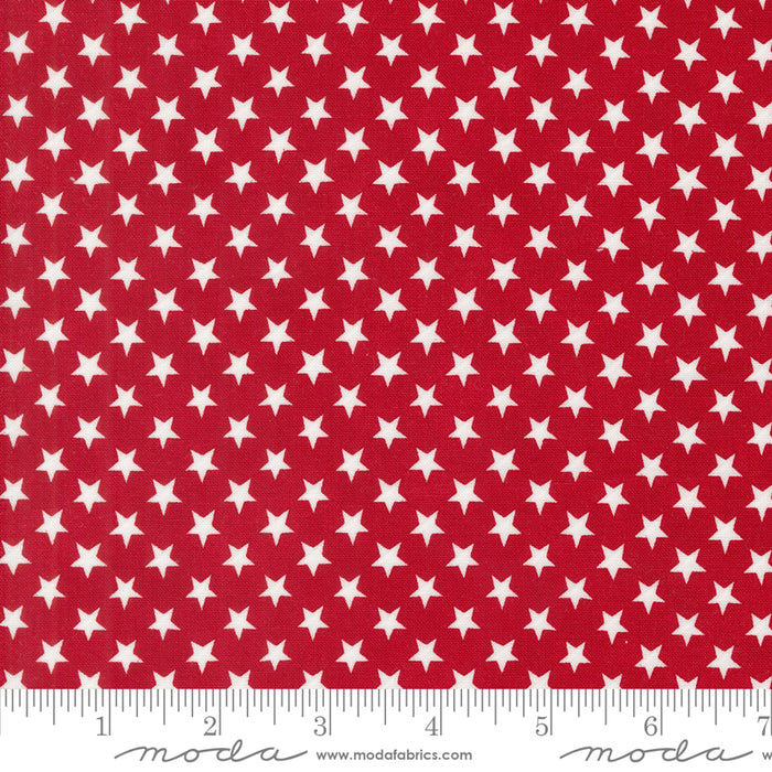 Red White & Bloom - Stars In A Row Patriotic Poppy