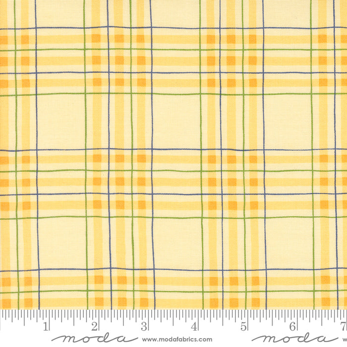On Lake Time - Lakehouse Plaid Daisy