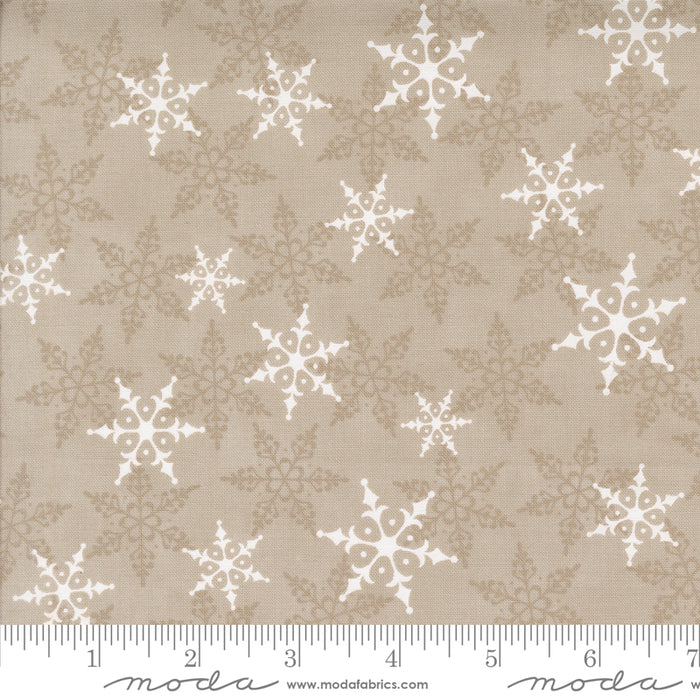 Winter Friends - Falling Snow Fog