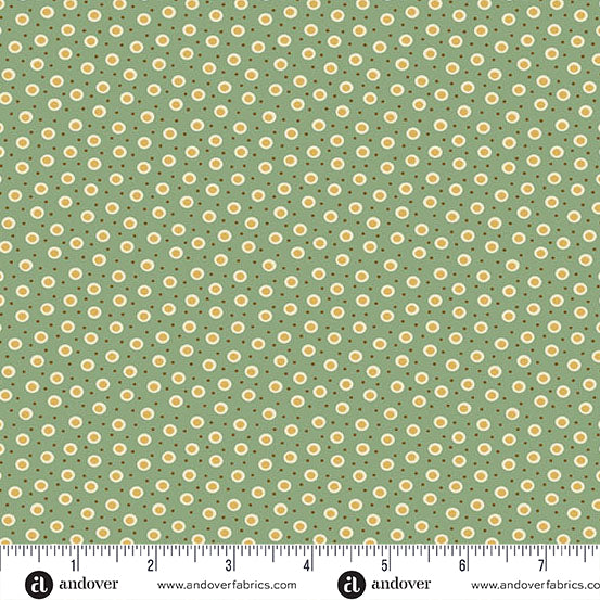 Holbrook - Joani Green