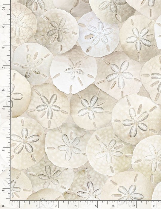 Water's Edge - Sand Dollars