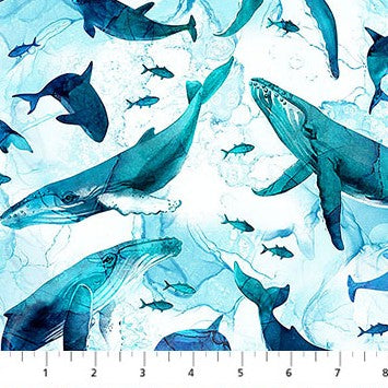 Deep Blue - Whales White