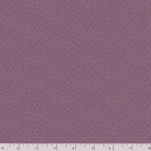 Plumberry III - Sparkler Lilac