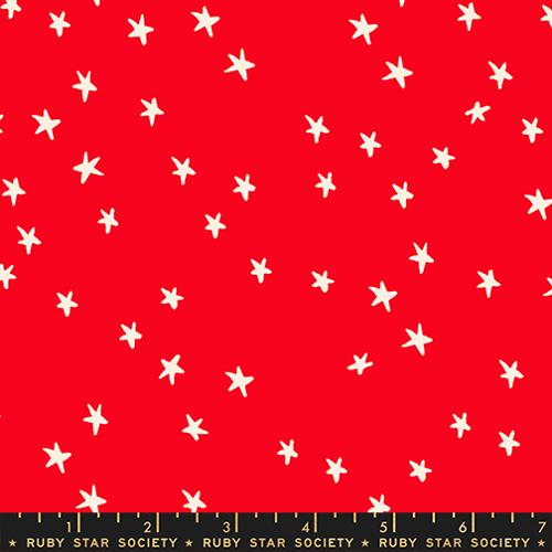Starry - Ladybug