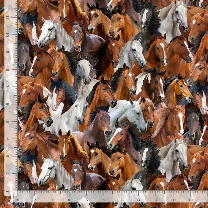 Home on the Range - Packed Horses Brown