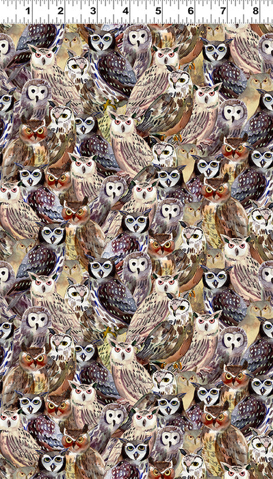 Wild Wonder - Packed Owls Multi