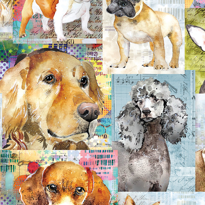Best Friends - Collage Multi Color