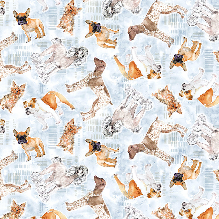 Best Friends - Tossed Dogs Light Denim