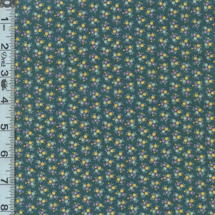 Fernshaw - Justin Teal