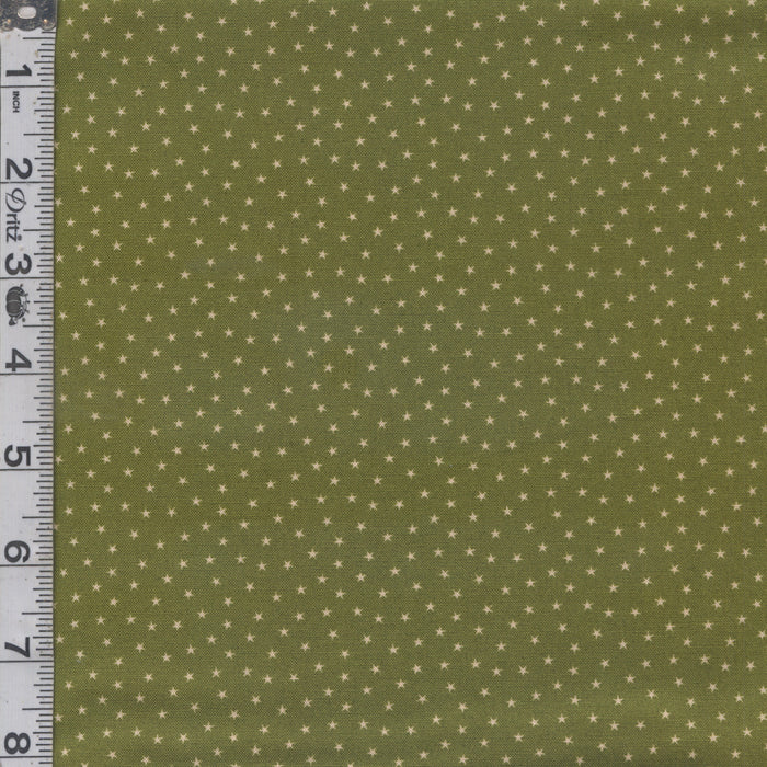 Twinkle - Olive