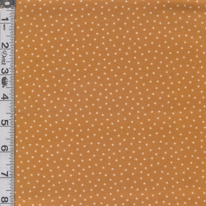 Twinkle - Honeycomb