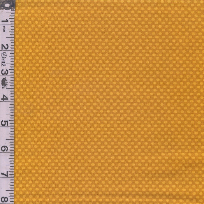 Ellipse - Abacus Dot Tiger's Eye