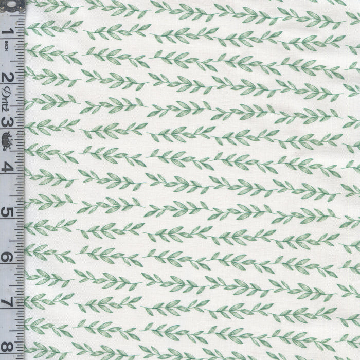 Comfort & Joy - Vines Green
