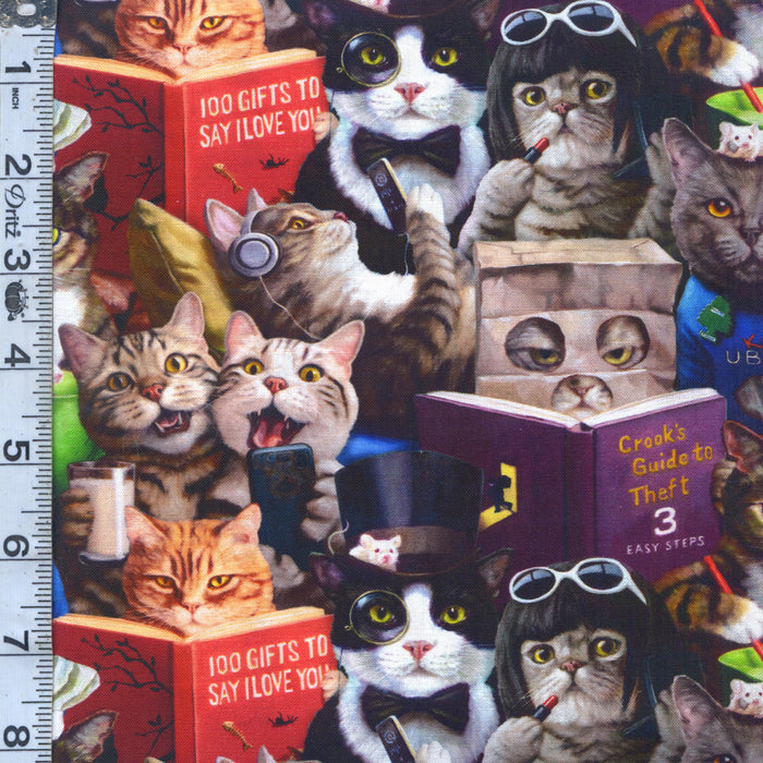 Cat's Meow - Packed Cats