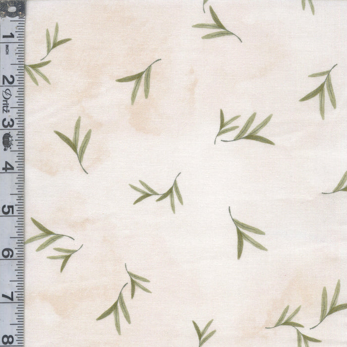 Soft Spoken - Sage Sprigs