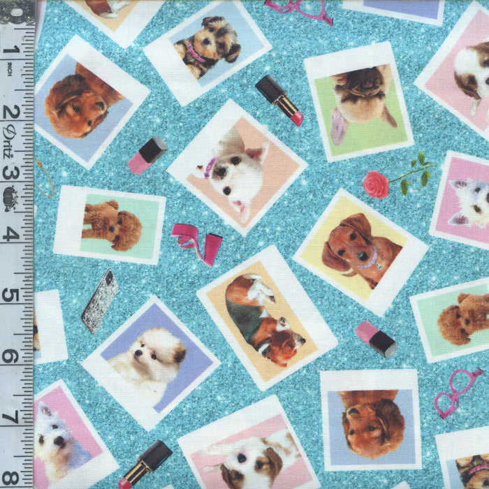 Diva Pups - Photo Prints Aqua