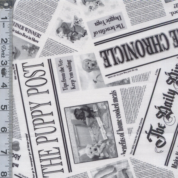 Diva Pups - Newspaper White