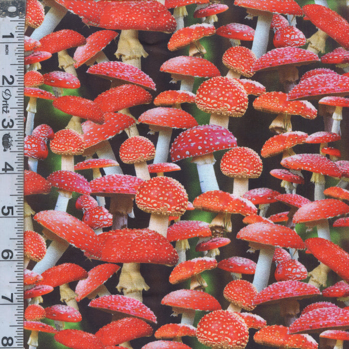 Homestead - Mushrooms