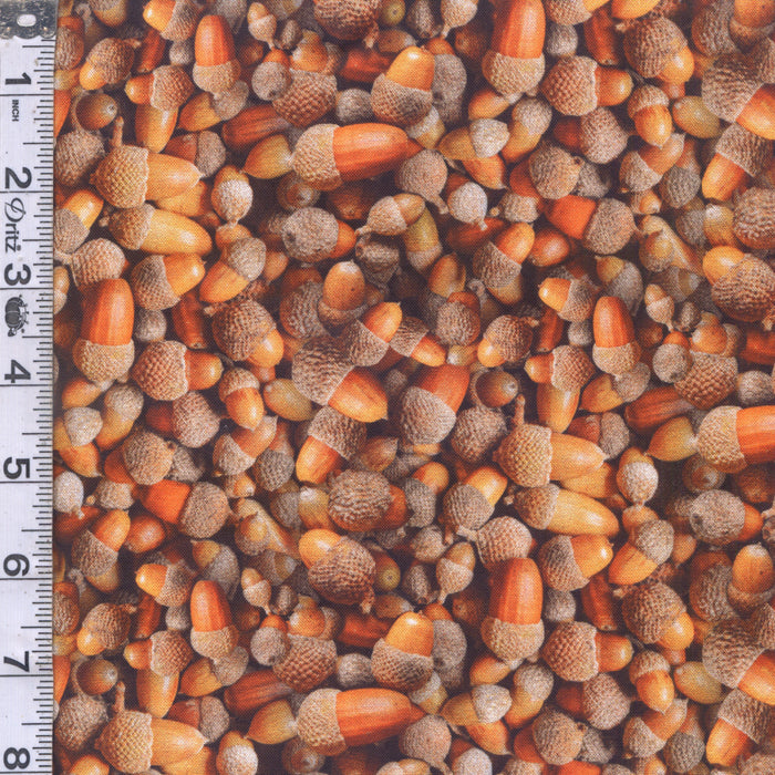 Homestead - Acorns
