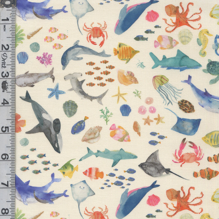 Under the Sea - Sea Creatures White Sand