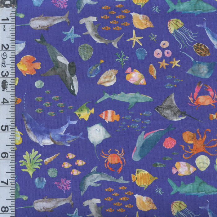 Under the Sea - Sea Creatures Deep Sea