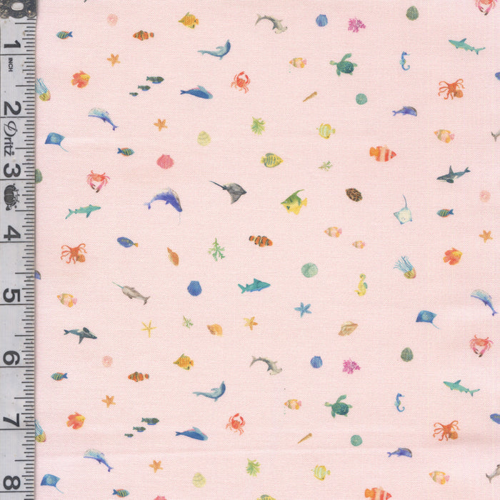 Under the Sea - Sea Treasures Shell