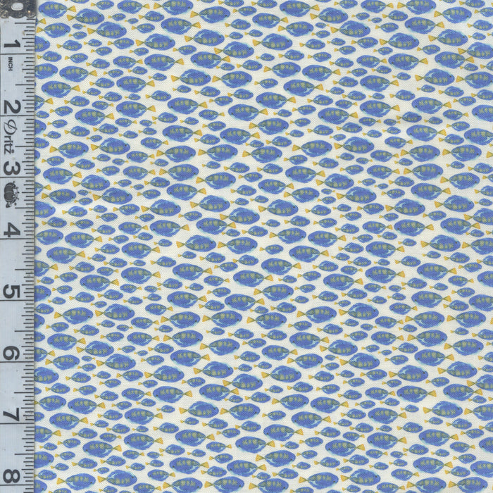 Under the Sea - Shoal of Fishes Pacific