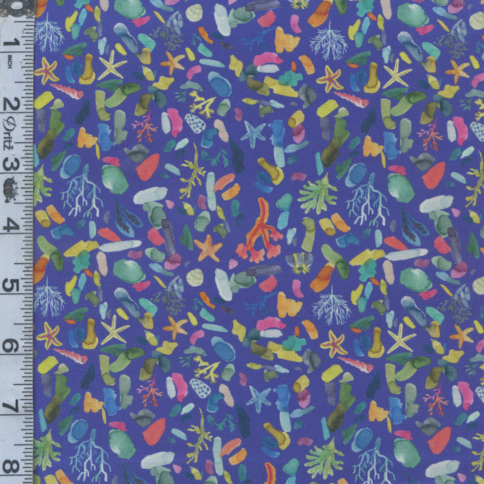 Under the Sea - Rockpool Deep Sea