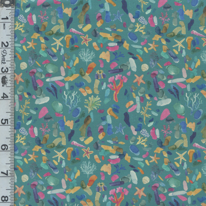 Under the Sea - Rockpool Ocean