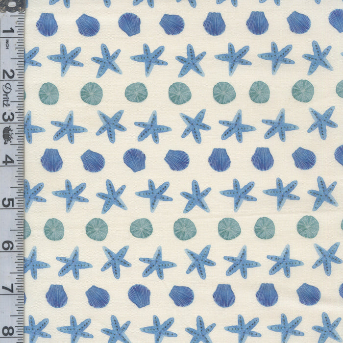 Under the Sea - Starfish Pacific