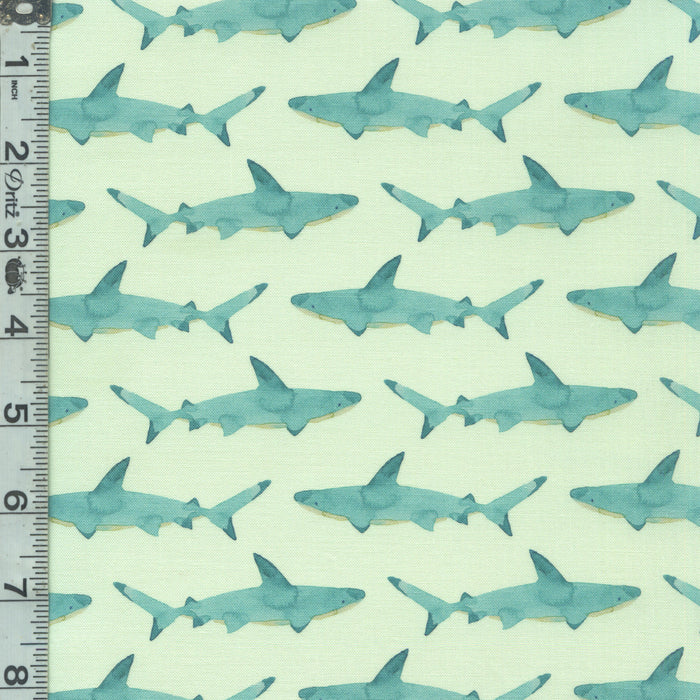 Under the Sea - Sharks Aqua