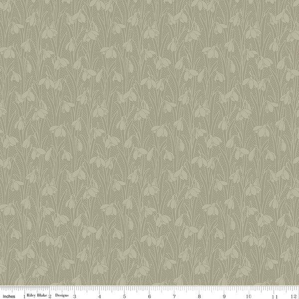 Snowdrop Spot - Lichen