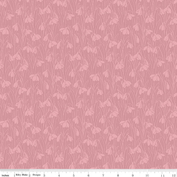 Snowdrop Spot - Tea Rose