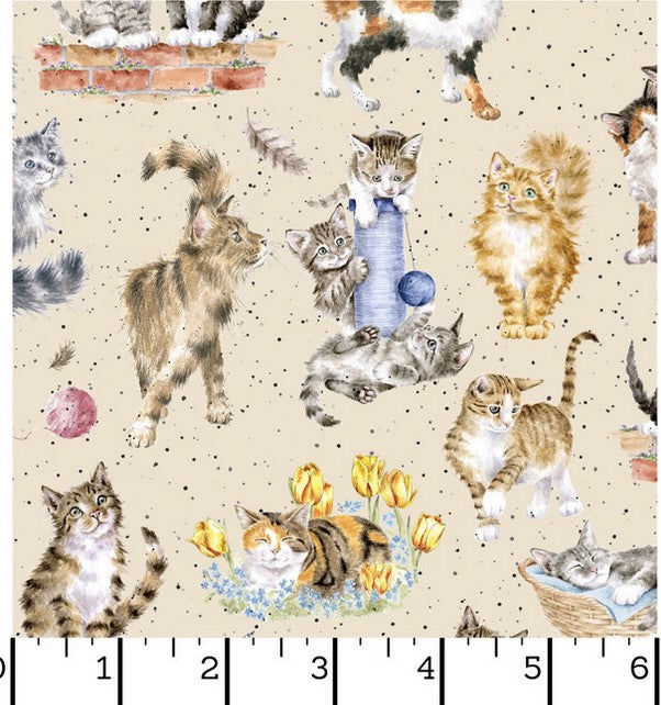 Whiskers & Paws - Directional Cats Cream