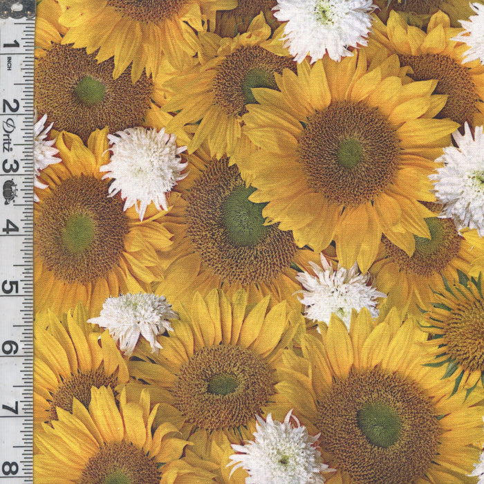 Forget Me Not - Sunflair Golden