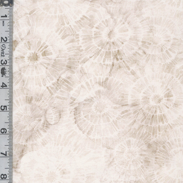 Sea Breeze - Sanddollars Cream