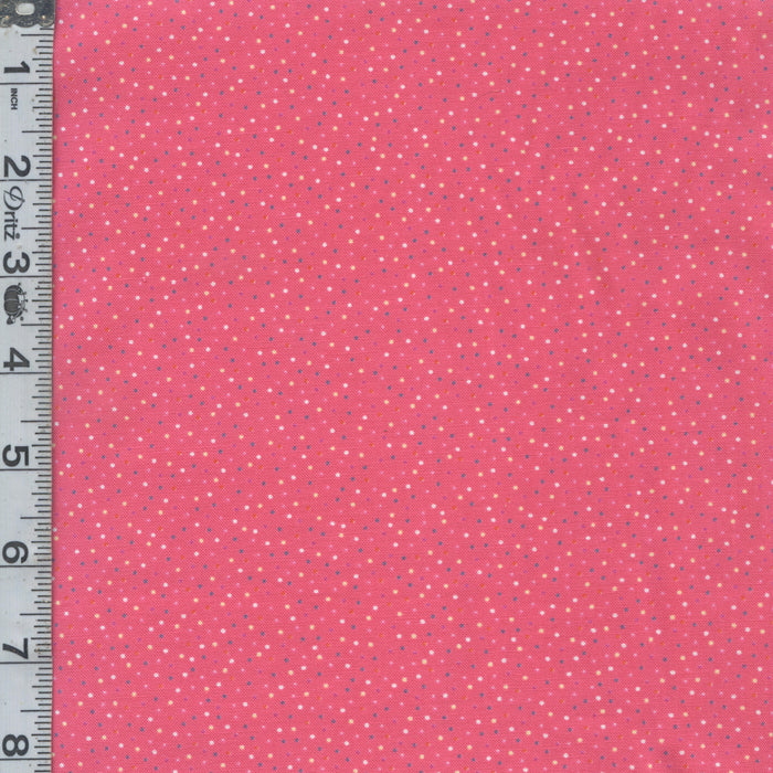 Country Confetti - Flamingo Bright Coral