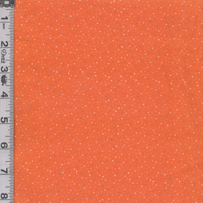 Country Confetti - Creamsicle Bright Orange